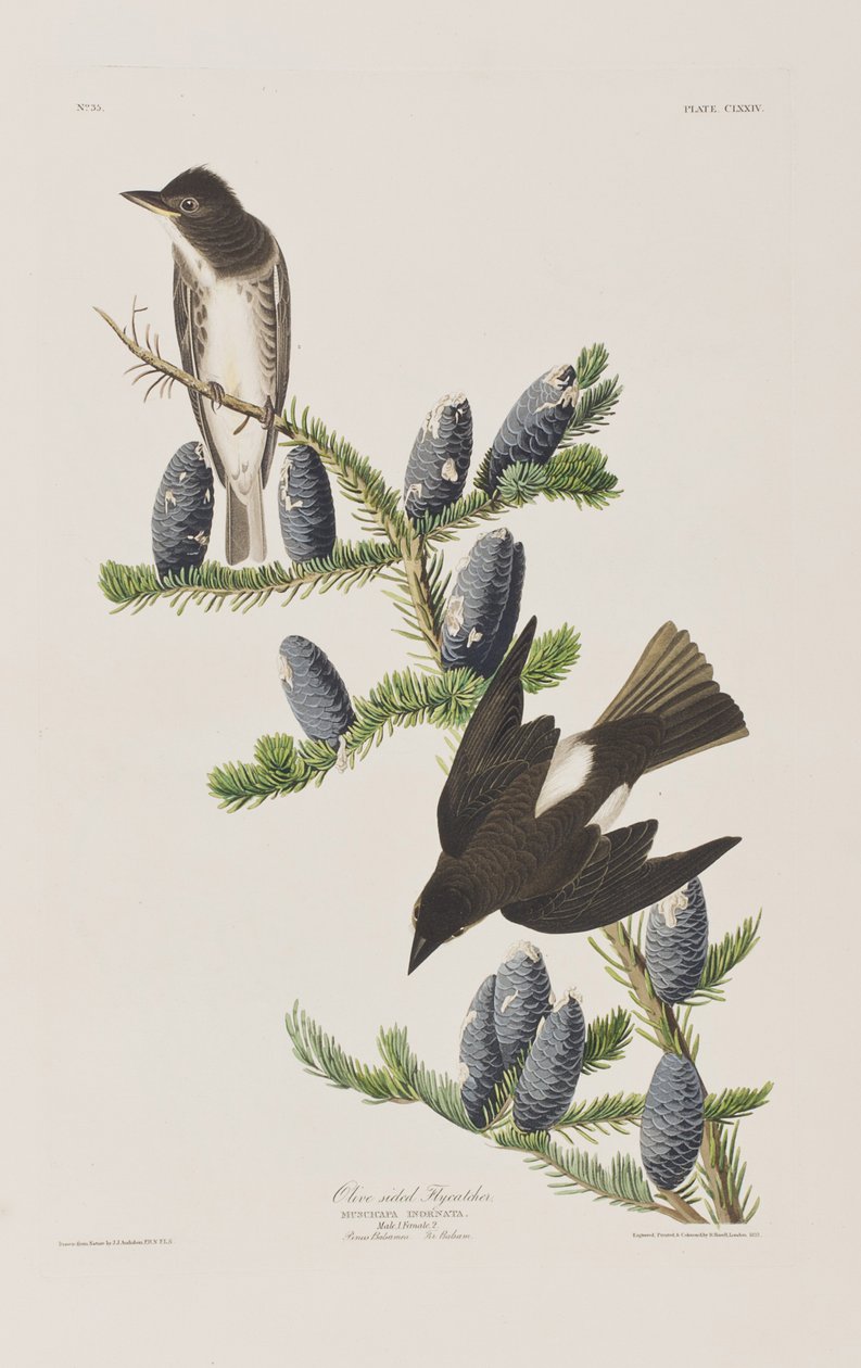 Illustration de 