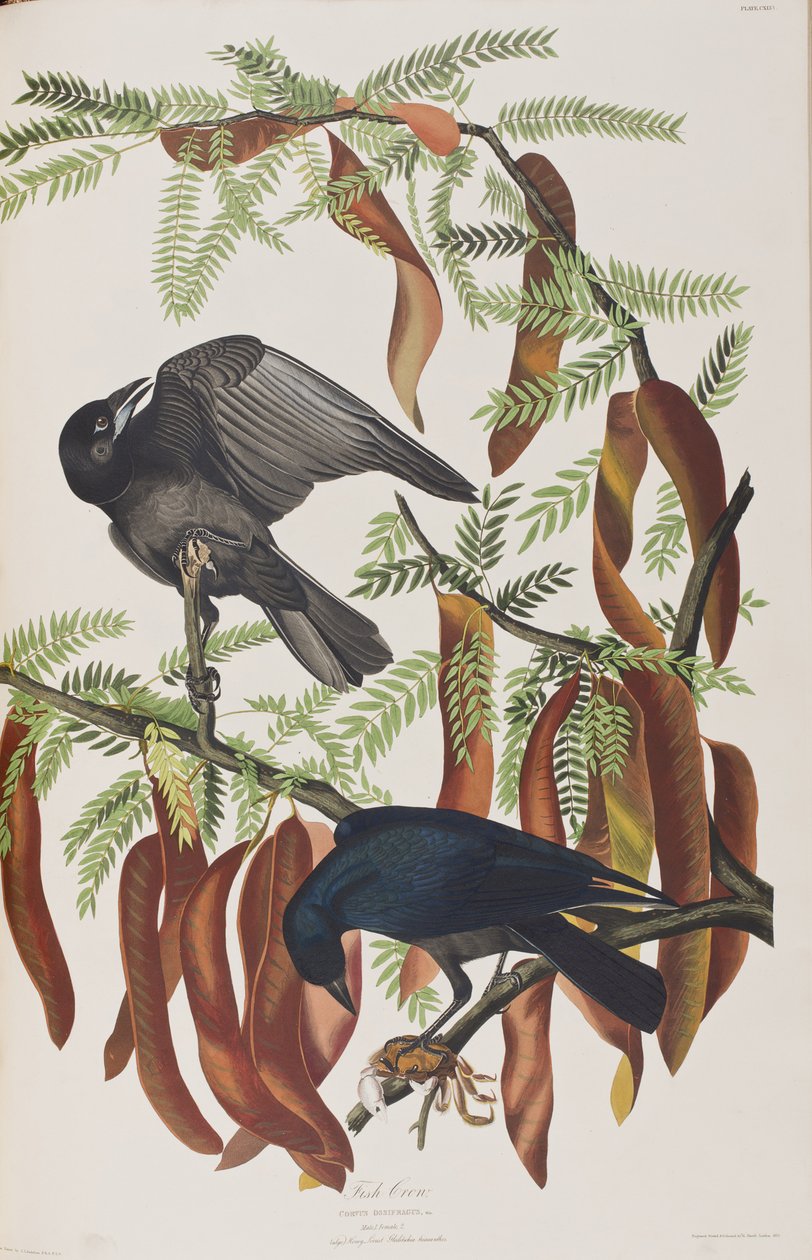 Illustration de 