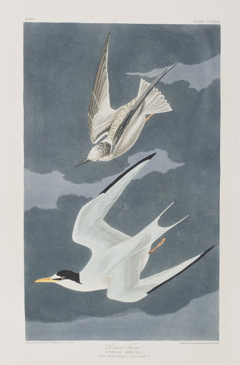 Illustration de 