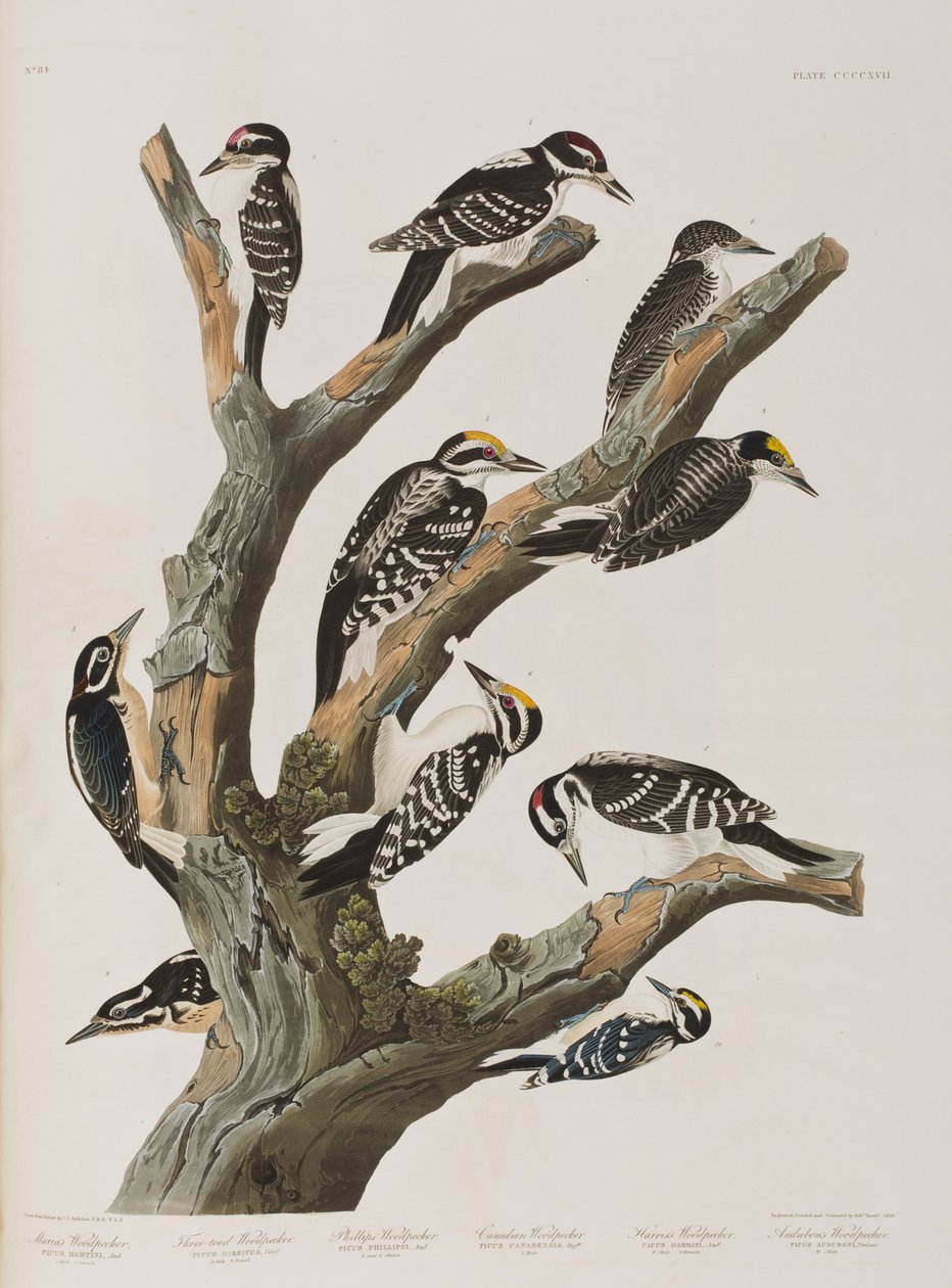 Illustration de 