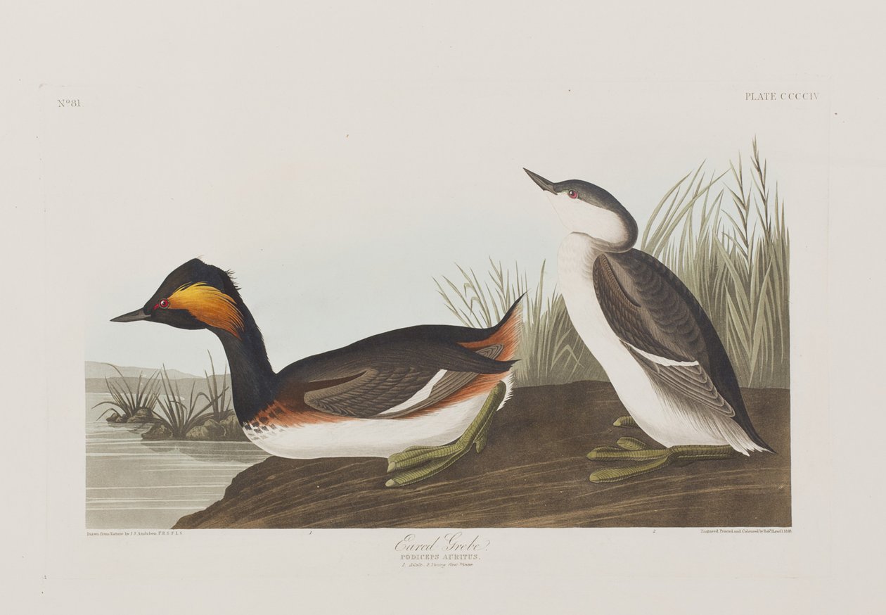 Illustration de 