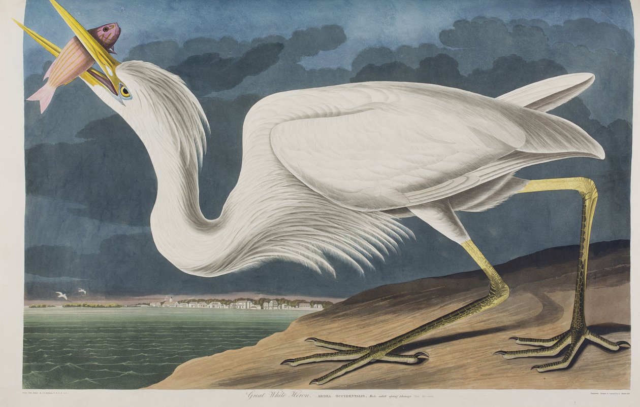 Illustration de 