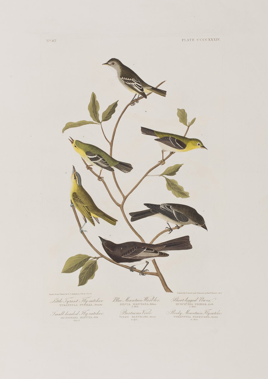 Illustration de 