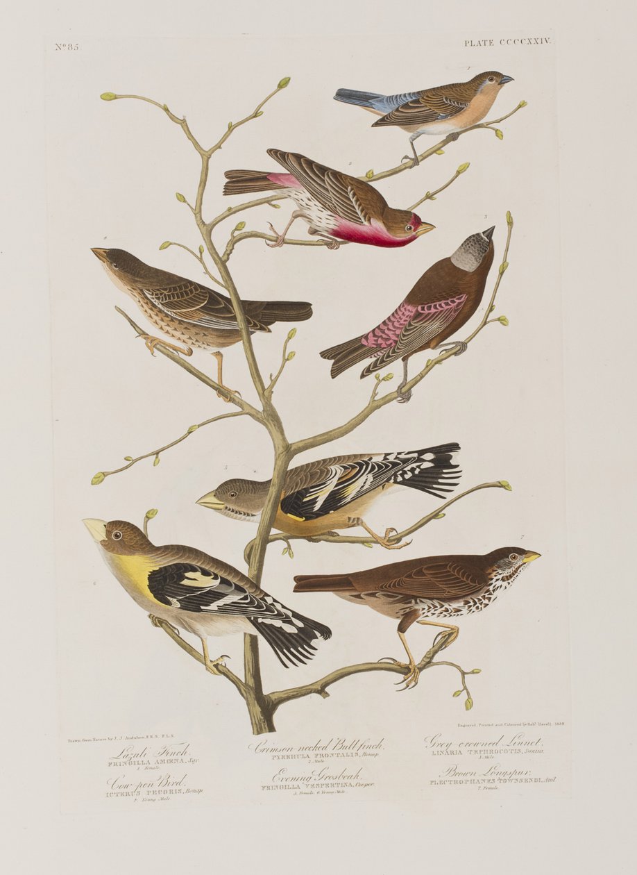 Illustration de 