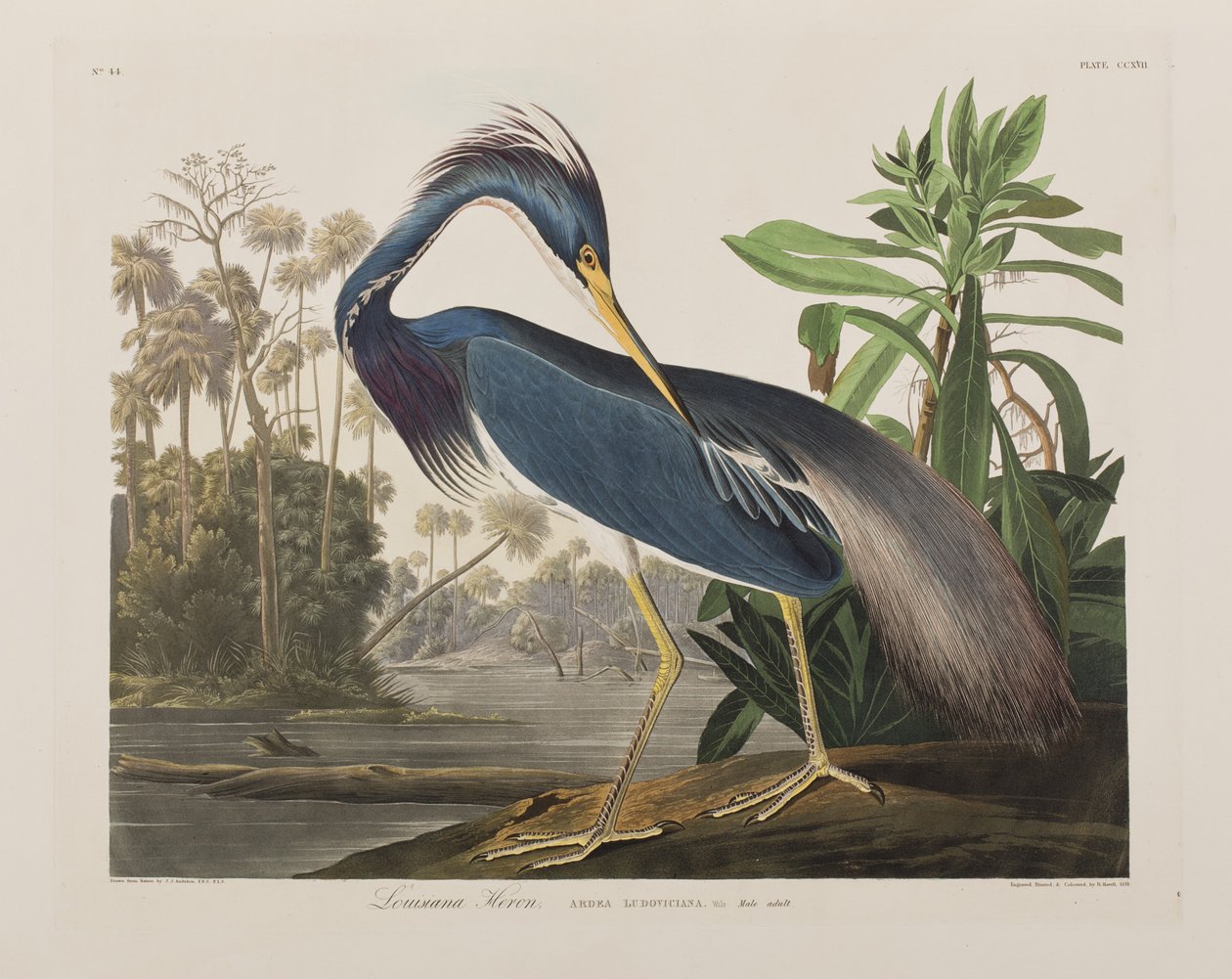 Illustration de 