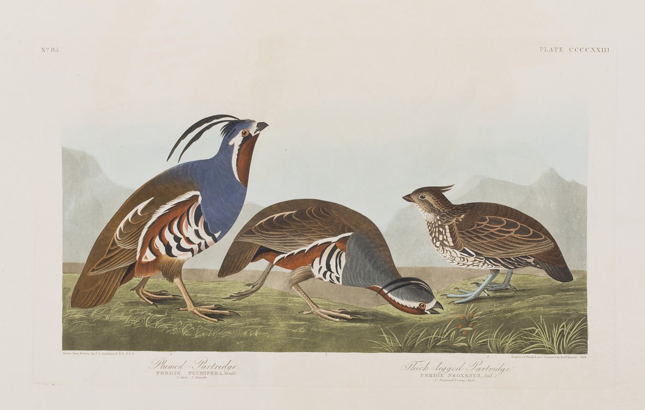 Illustration de 