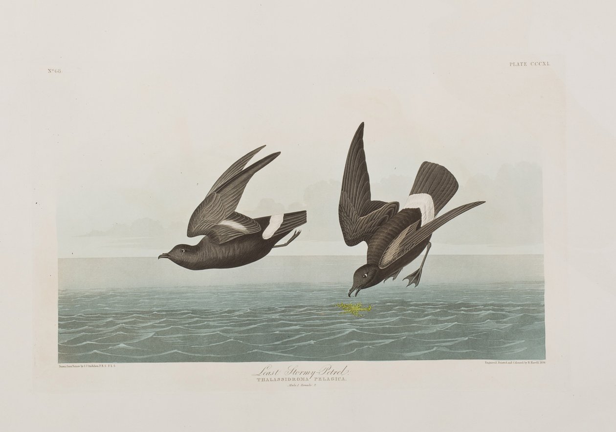Illustration de 