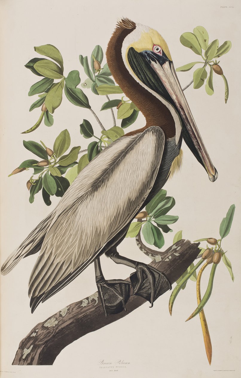 Illustration de 
