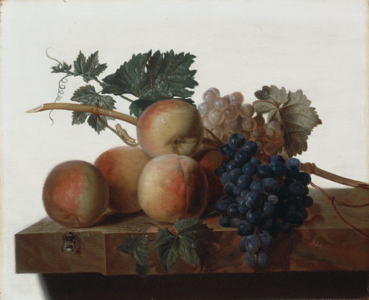 Nature morte - John Johnston