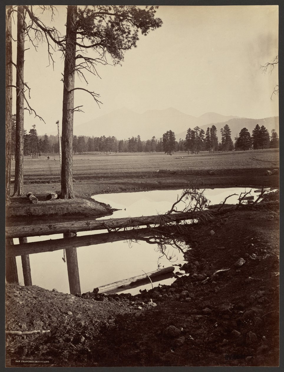 Montagnes San Francisco, Arizona - John K. Hillers