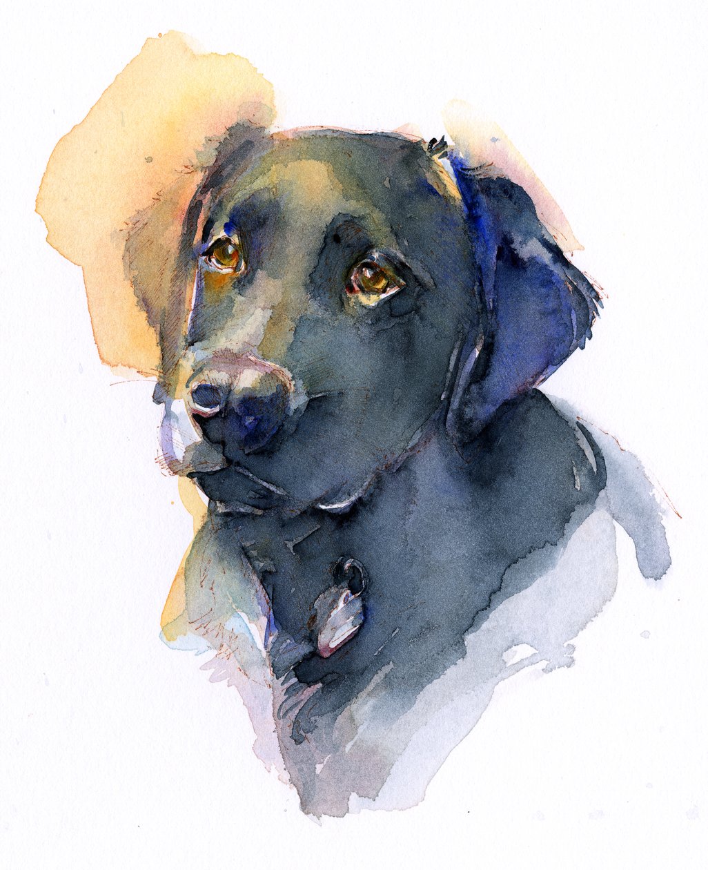 Labrador noir - John Keeling