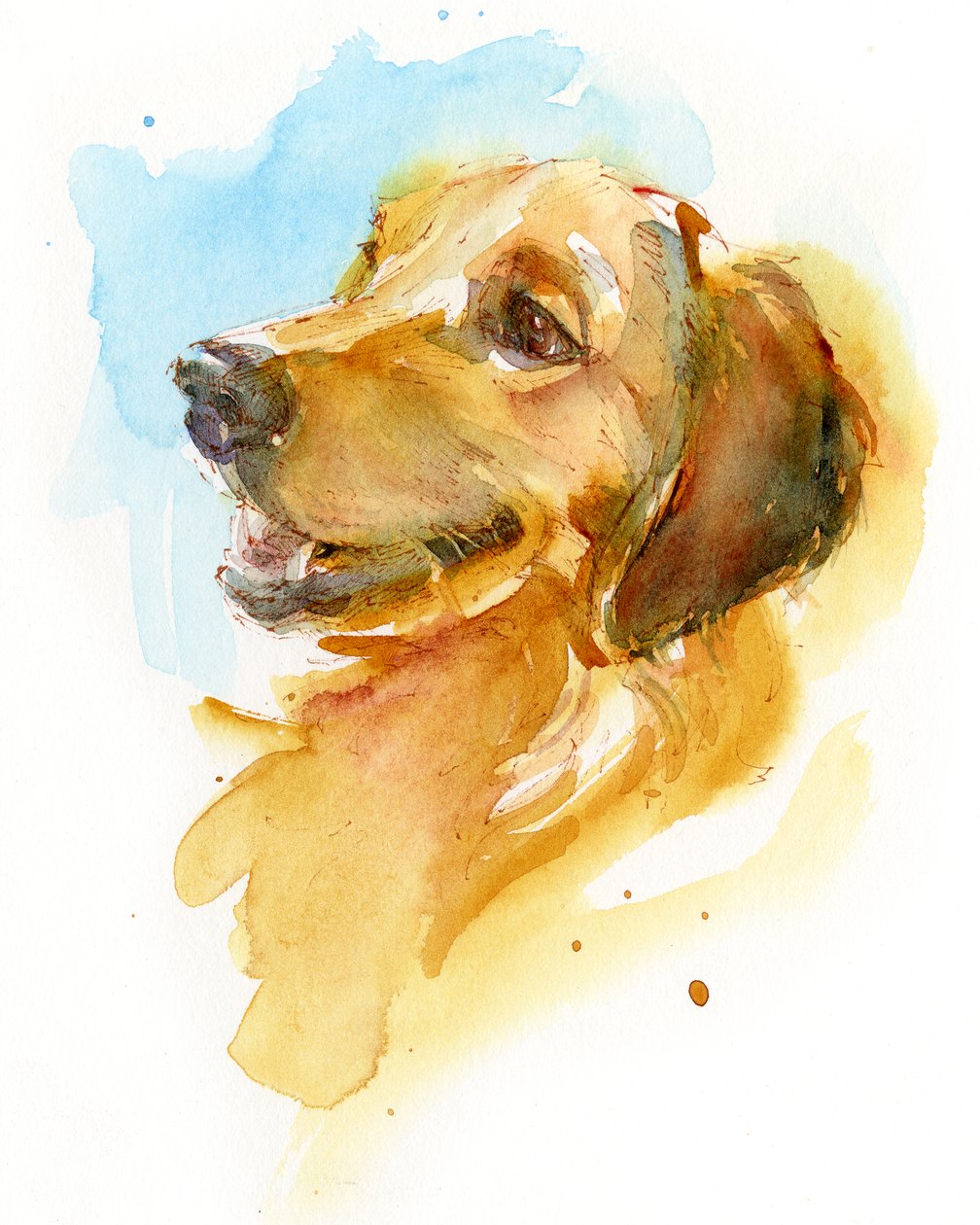Golden Retriever, 2017 - John Keeling