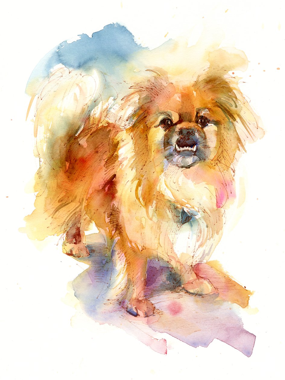 Portrait de Tipper - John Keeling
