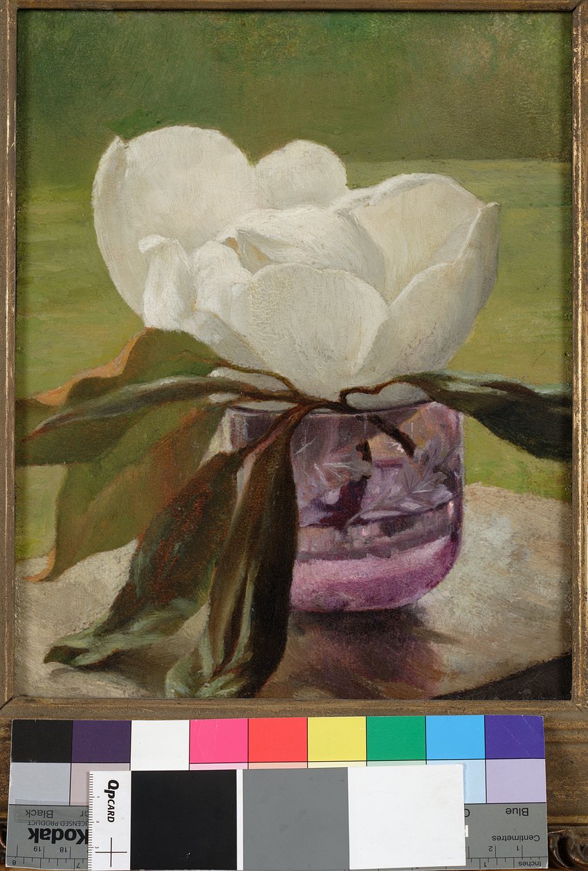 Fleur de magnolia - John La Farge or Lafarge