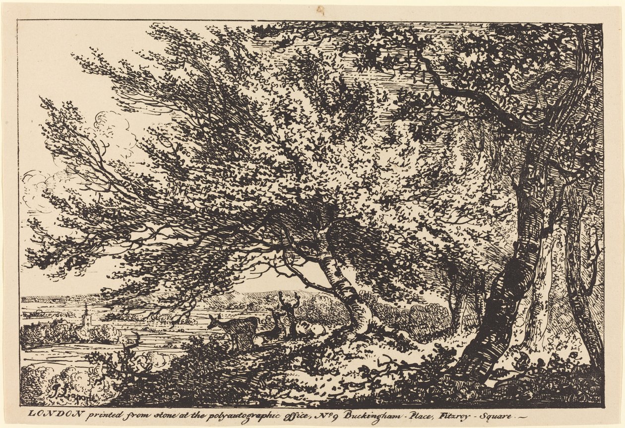 Paysage avec des cerfs sous les arbres - John Laporte