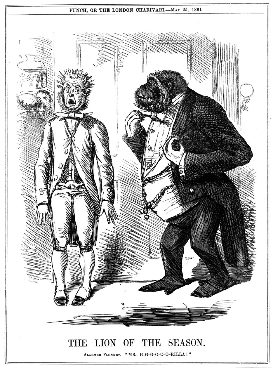 Le Lion de la Saison, 1861 - John Leech