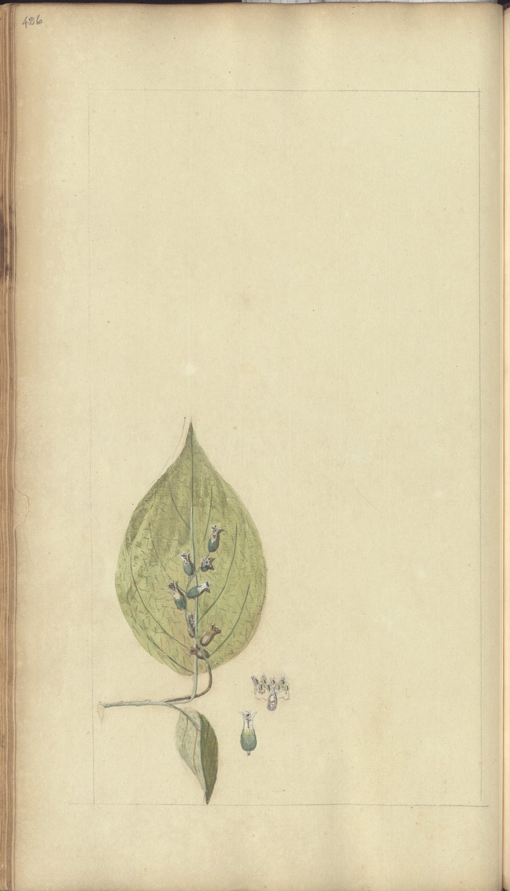 Une page des 