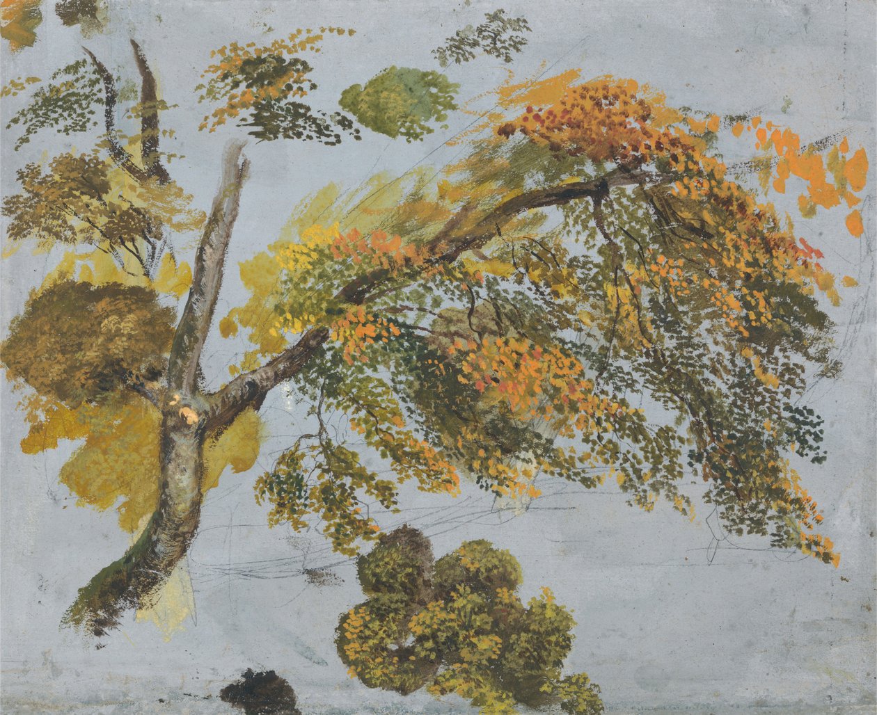 Baumstudie (Herbstlaub) - John Linnell