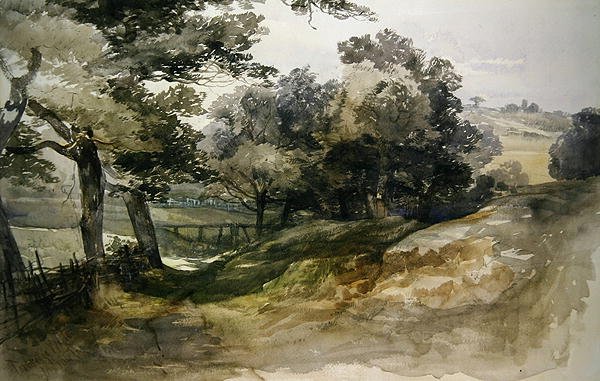 Une allée ombragée, Tunbridge Wells - John Middleton