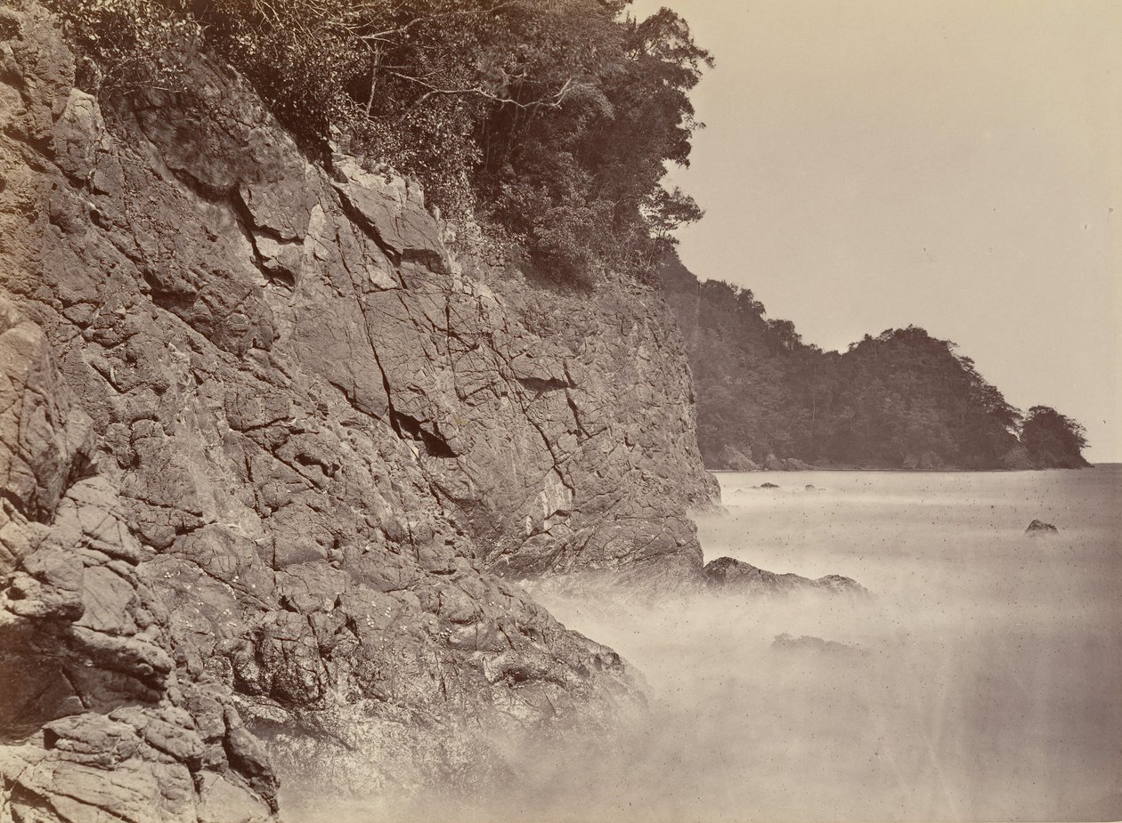 Paysage tropical, falaise - Baie de Limon, 1871 - John Moran