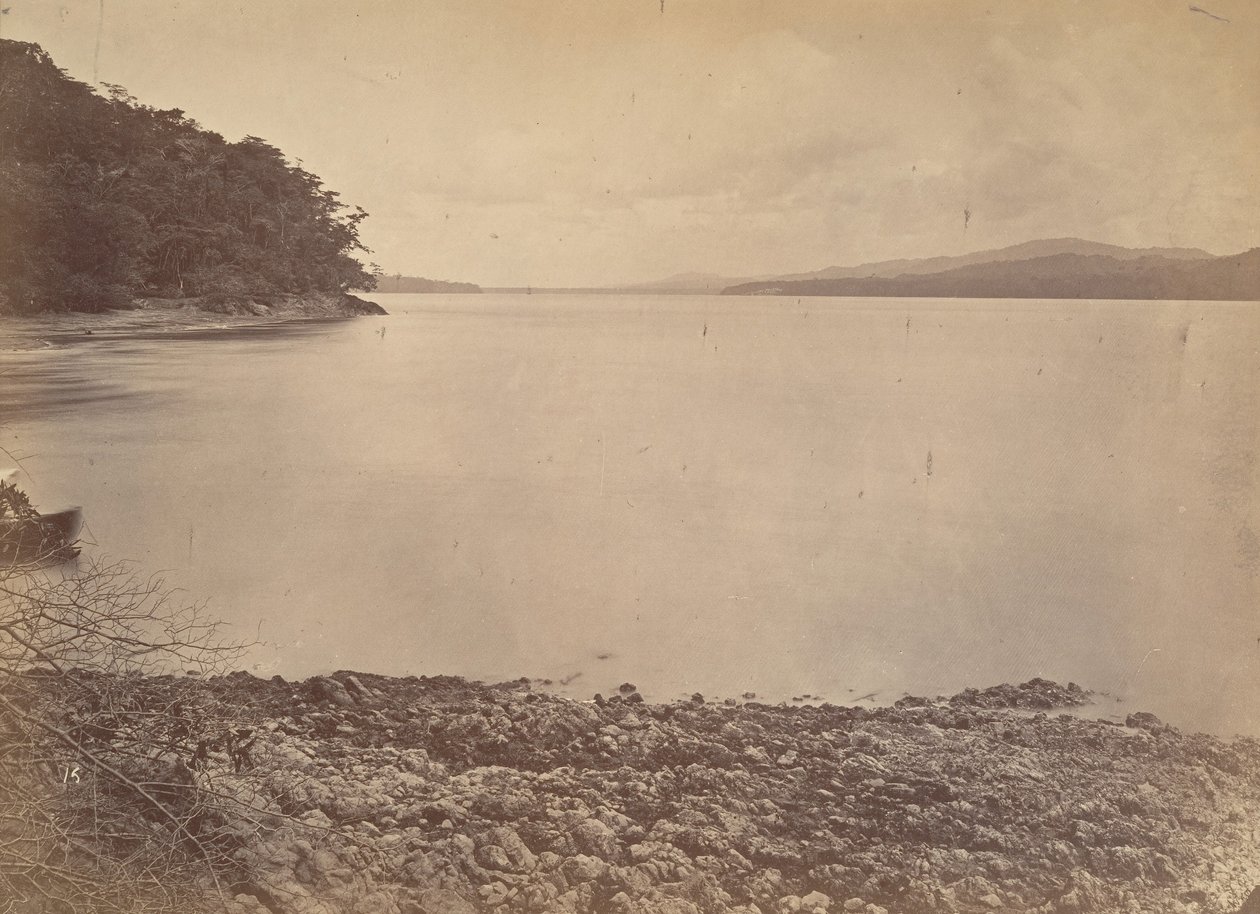 Paysage tropical, port de Darien - Vue vers le sud, 1871 - John Moran