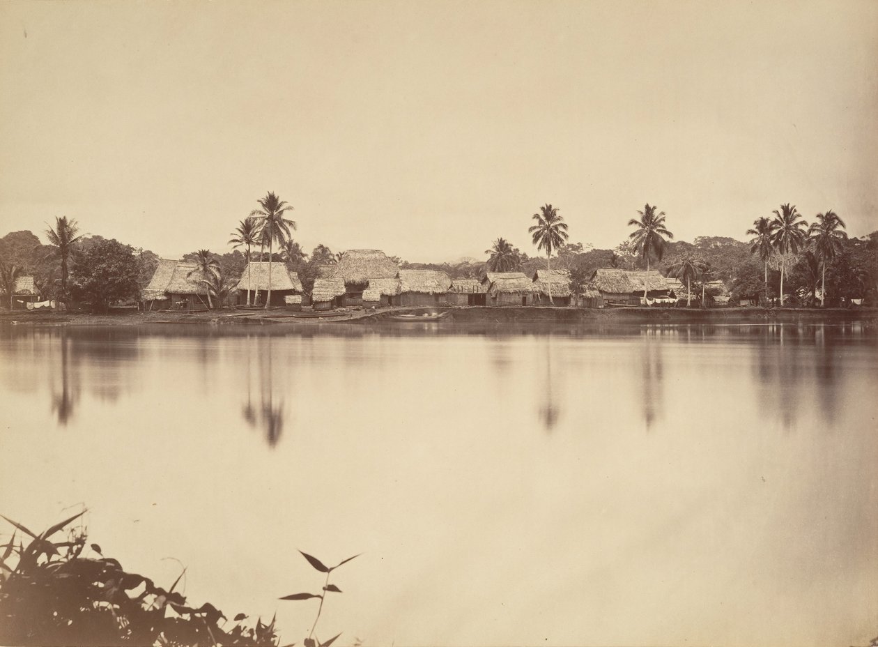 Paysage tropical, Santa Maria del Real, Darien, 1871 - John Moran