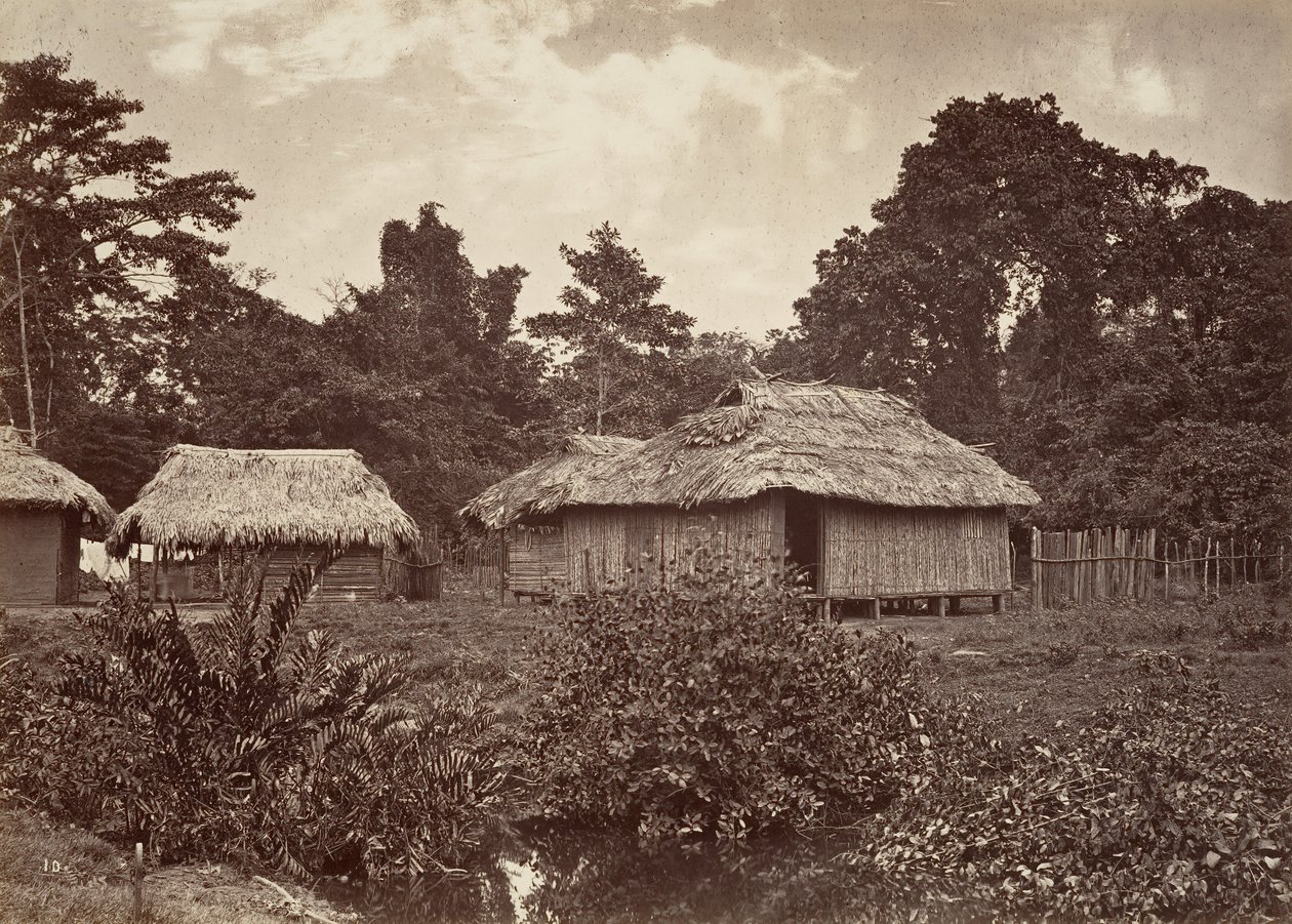 Paysage tropical, Turbo Village, 1871 - John Moran