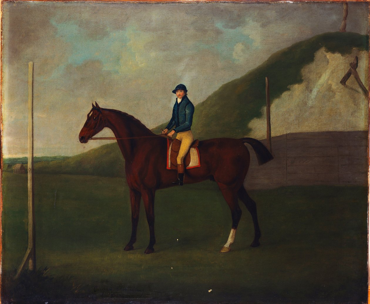 "Creeper", un poulain bai avec jockey au départ à Running Gap dans Devils Ditch, Newmarket - John Nott Sartorius