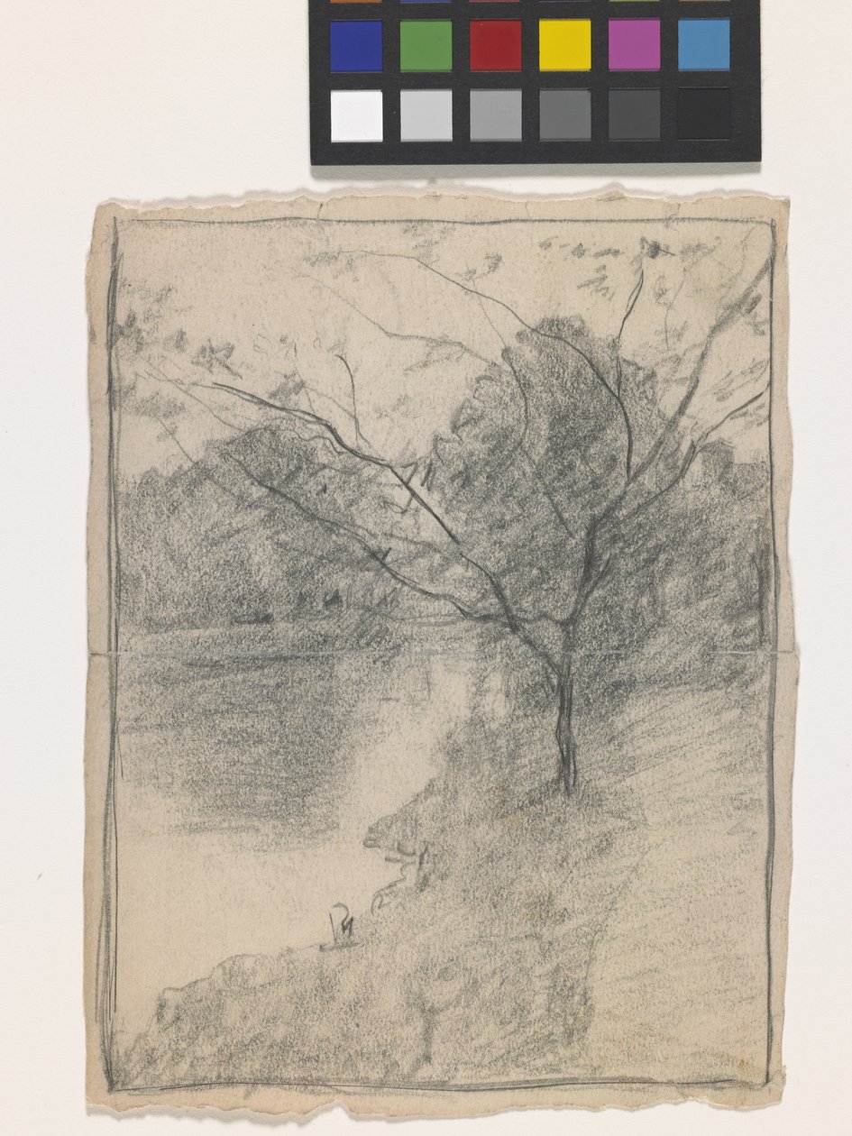 Arbre à côté d