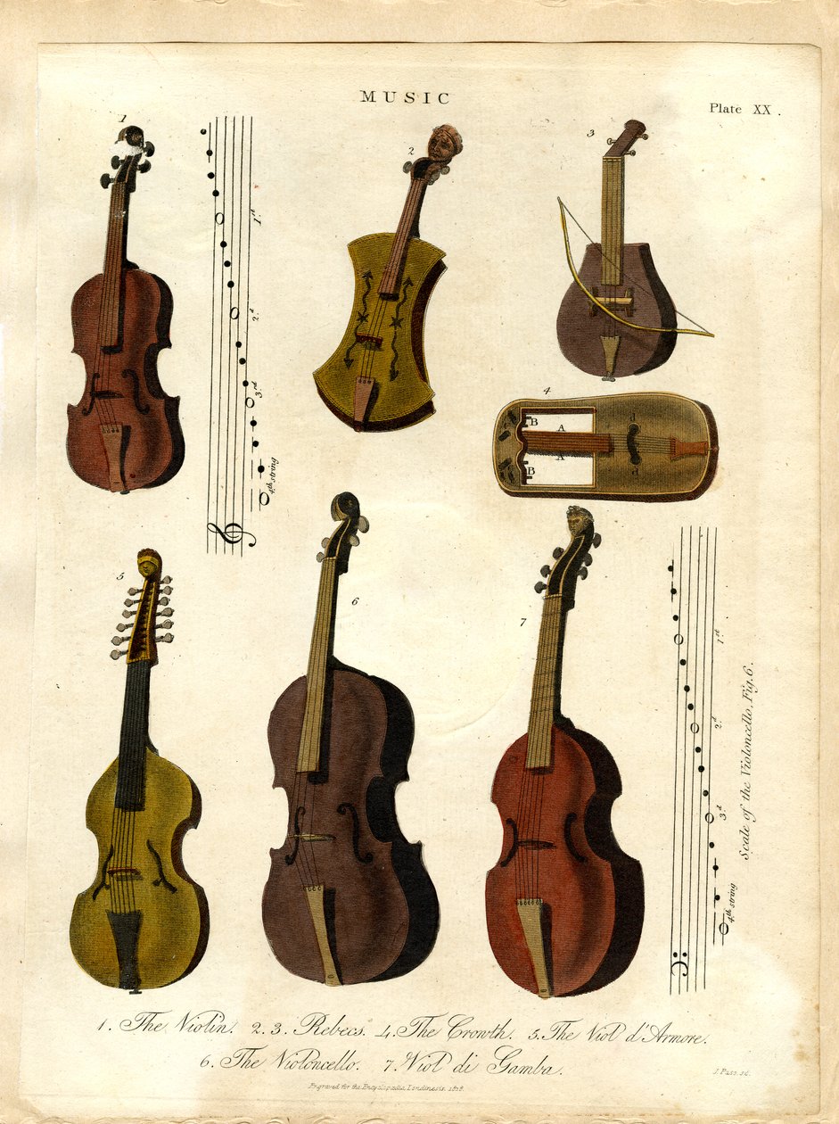 Instruments à cordes de la musique classique - John Pass