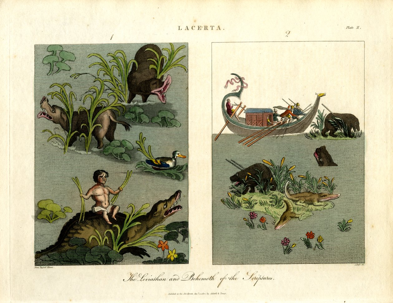 Le Léviathan et le Béhémoth des Écritures - John Pass