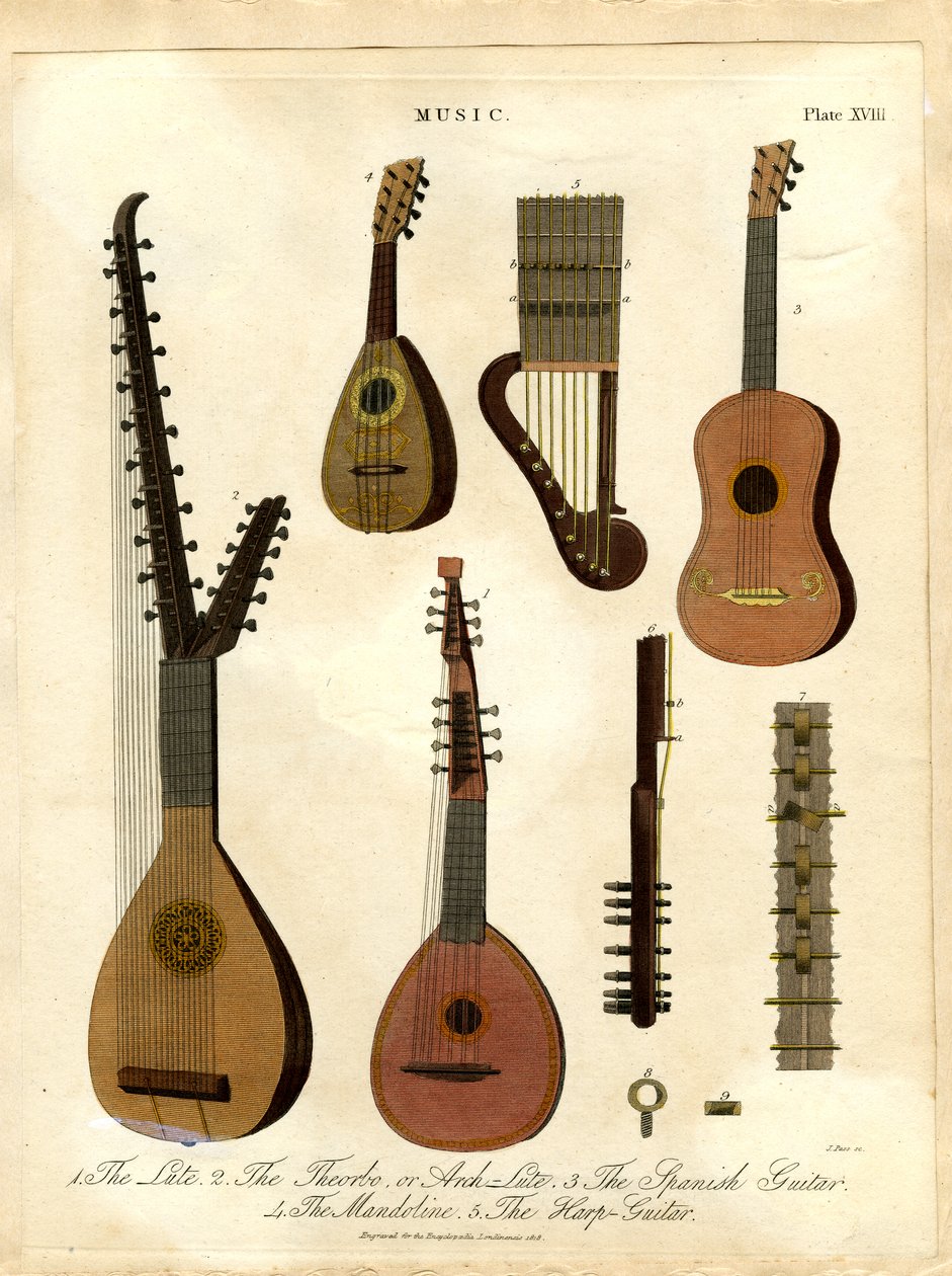 Le luth ; le théorbe ou archiluth ; la guitare espagnole ; la mandoline ; la harpe-guitare. - John Pass