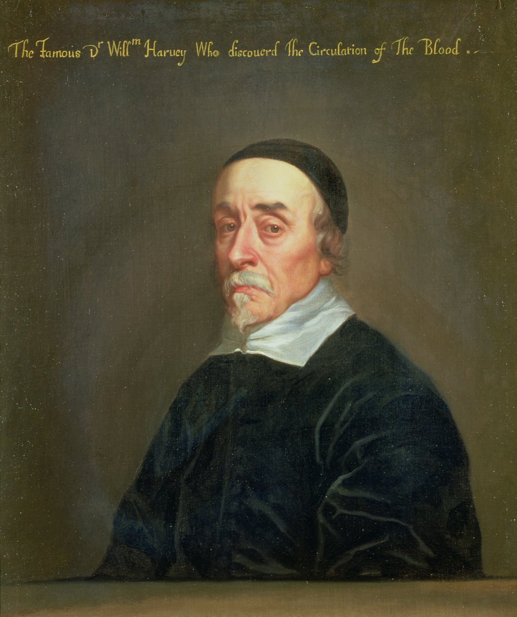 Portrait de William Harvey (1578-1657) - John Riley