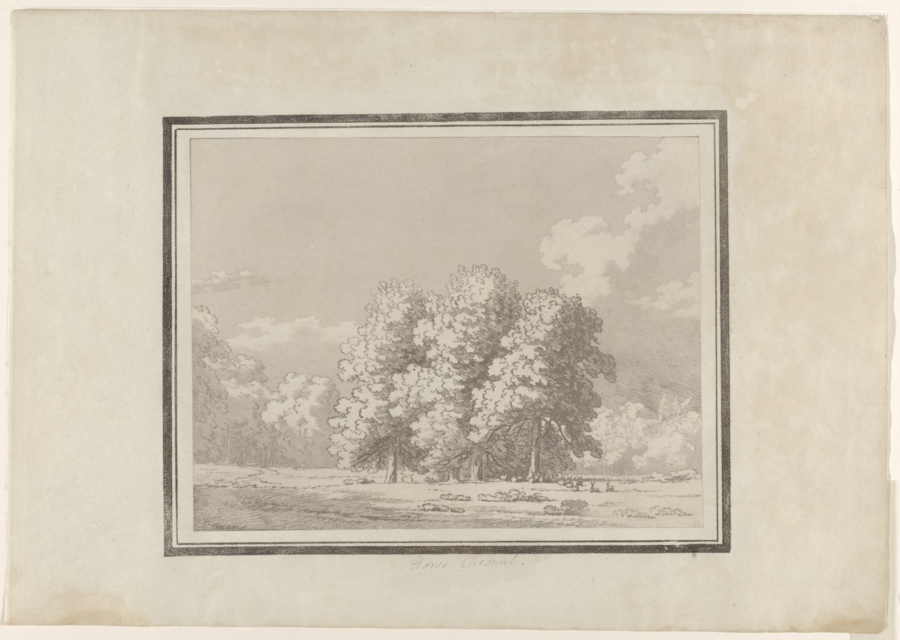 Marronnier - John Robert Cozens