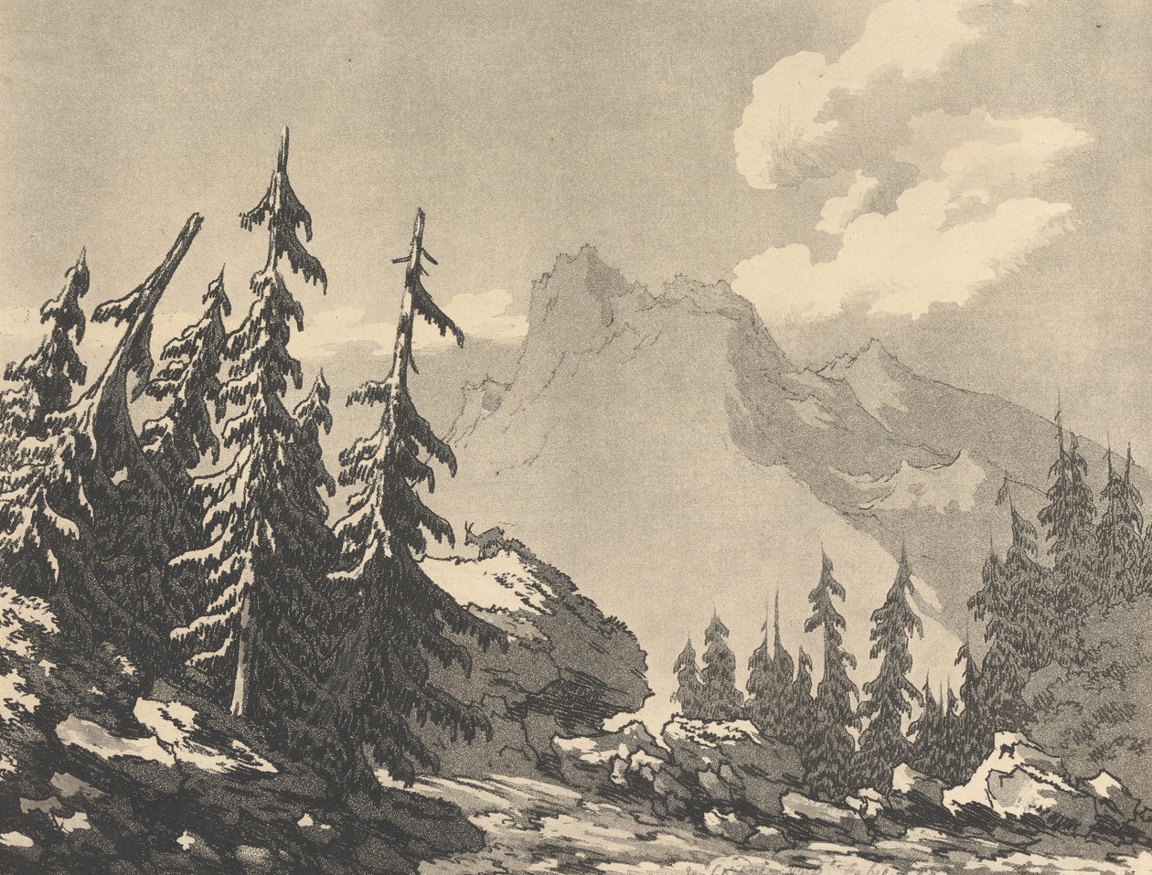 Épicéa et sapin - John Robert Cozens