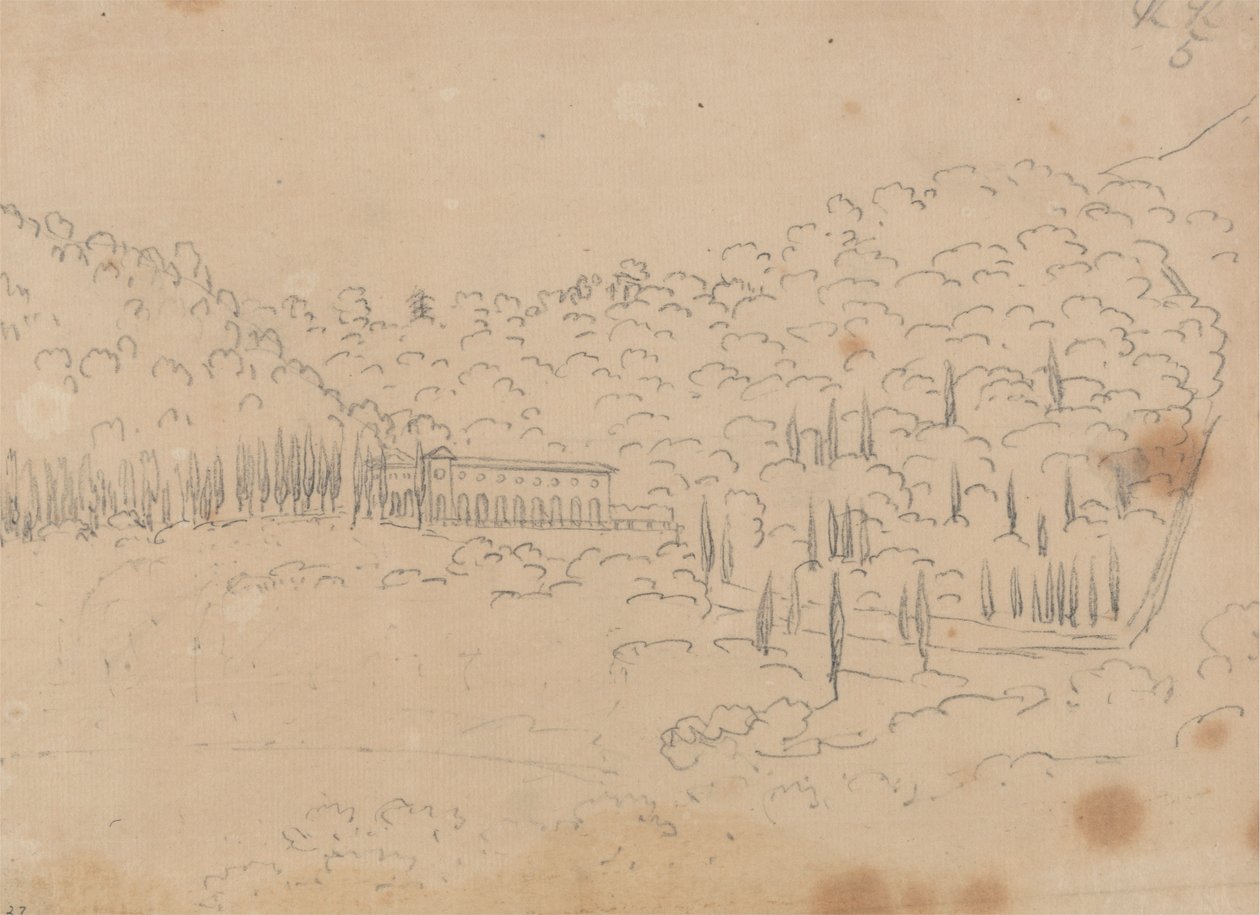 Vue d