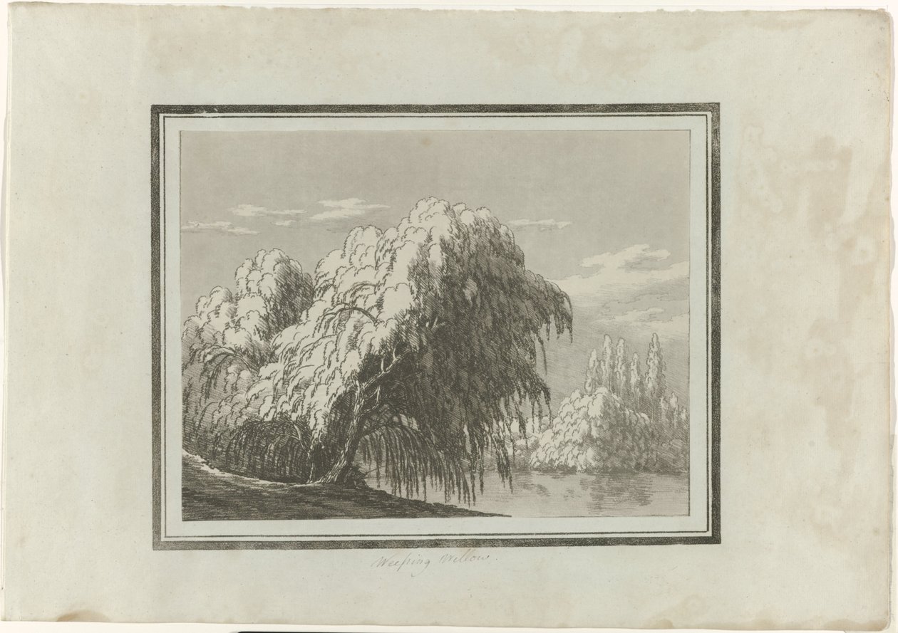 Saule pleureur - John Robert Cozens