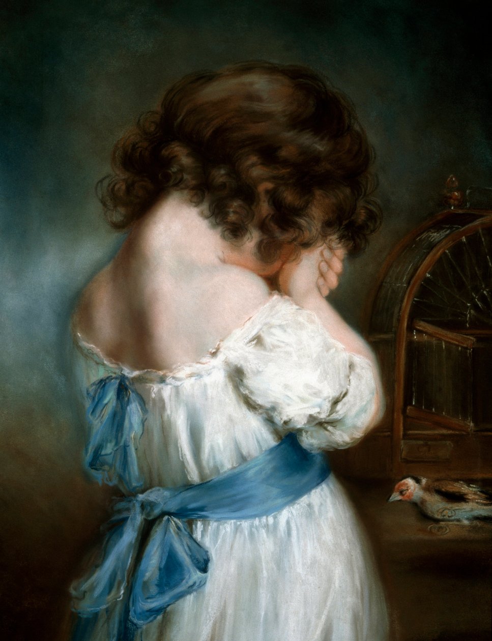 Le chardonneret - John Russell