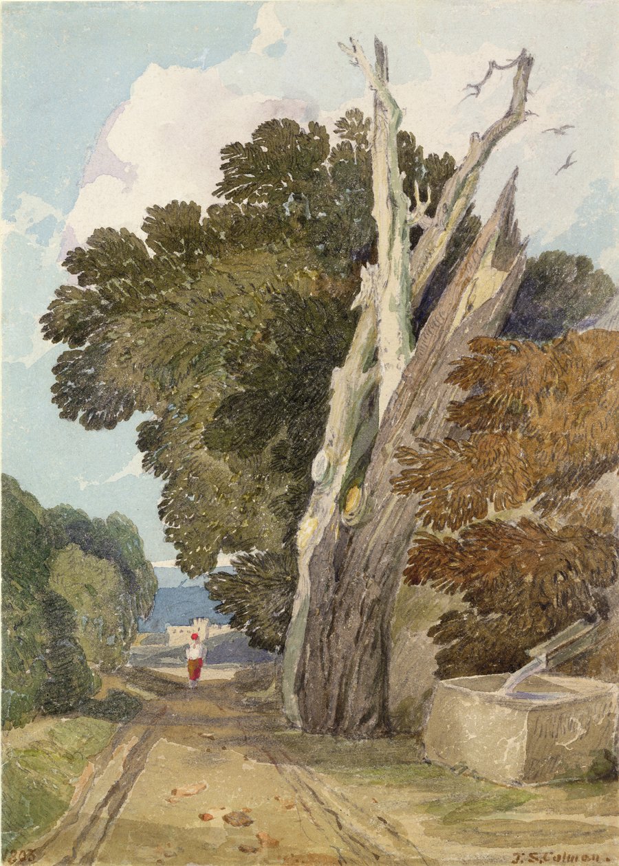 Un châtaignier espagnol frappé par la foudre - John Sell Cotman