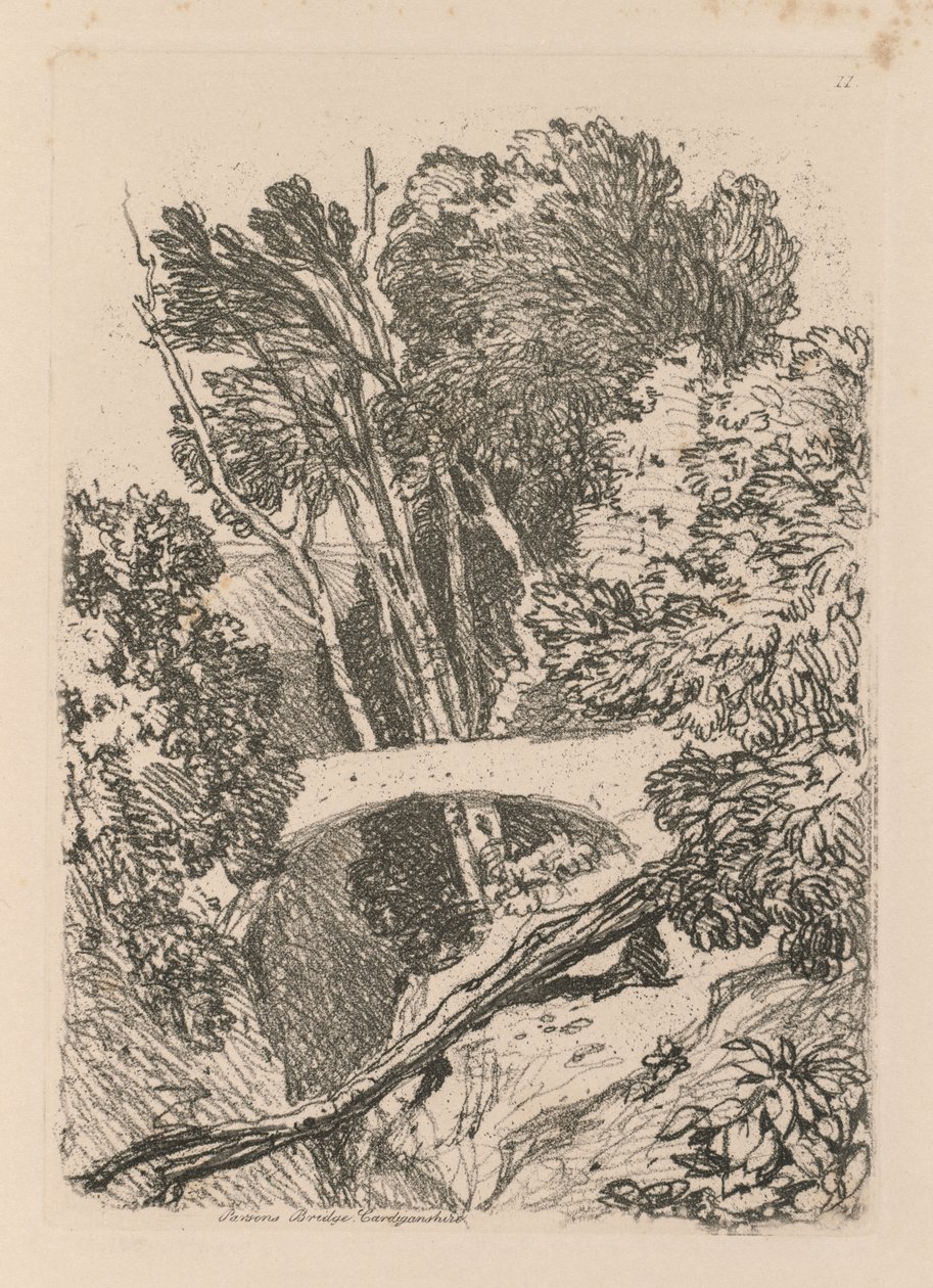 Liber Studiorum: Planche 11: Parsons Bridge, Cardingshire, 1838 - John Sell Cotman