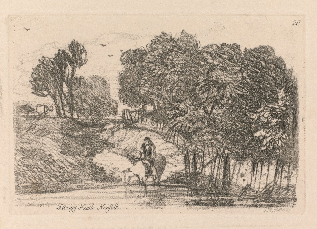 Liber Studiorum : Planche 20, Felbrigg Heath, Norfolk, 1838 - John Sell Cotman
