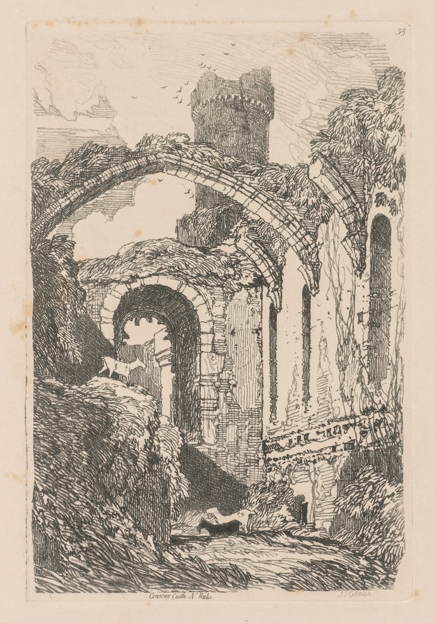 Liber Studiorum : Planche 33, Château de Conway, N. Pays de Galles, 1838 - John Sell Cotman