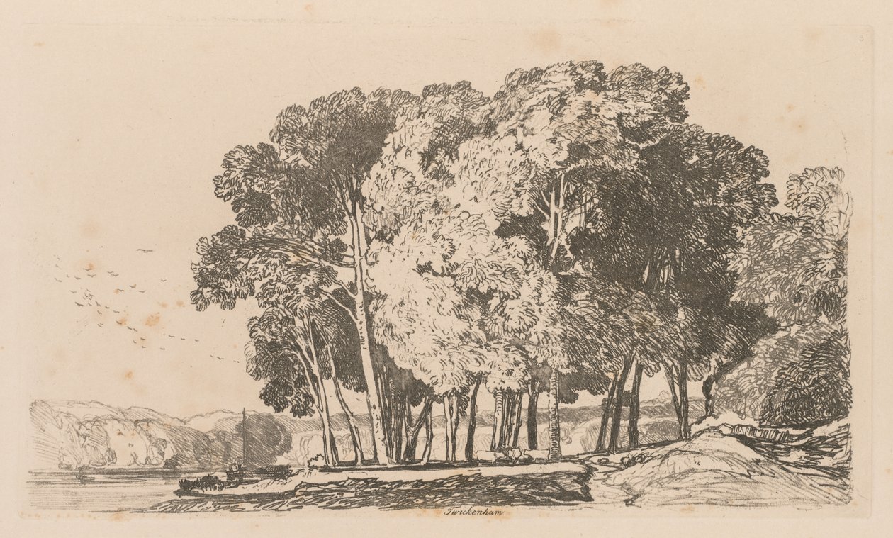 Liber Studiorum : Planche 3, Arbres près de Twickenham - John Sell Cotman