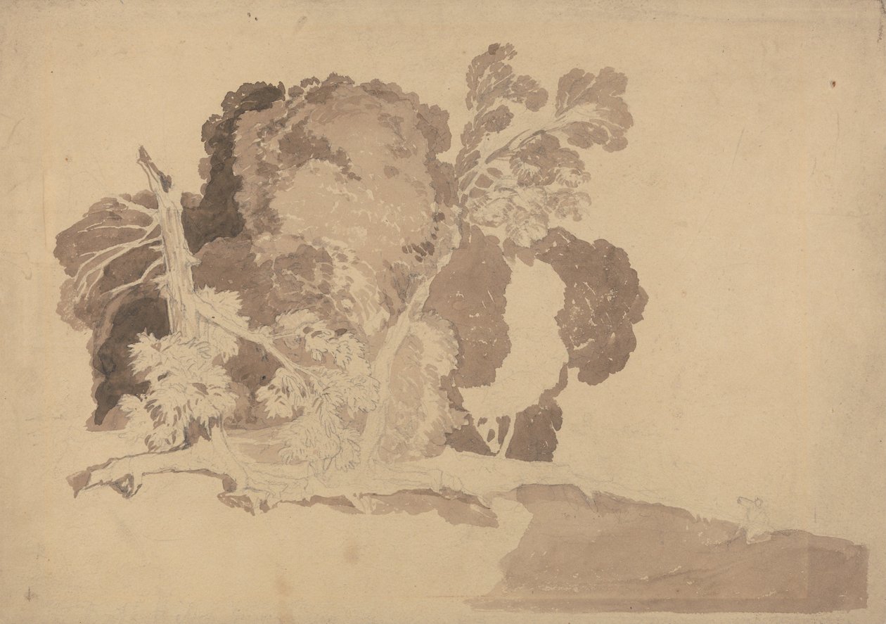 Étude des arbres - John Sell Cotman