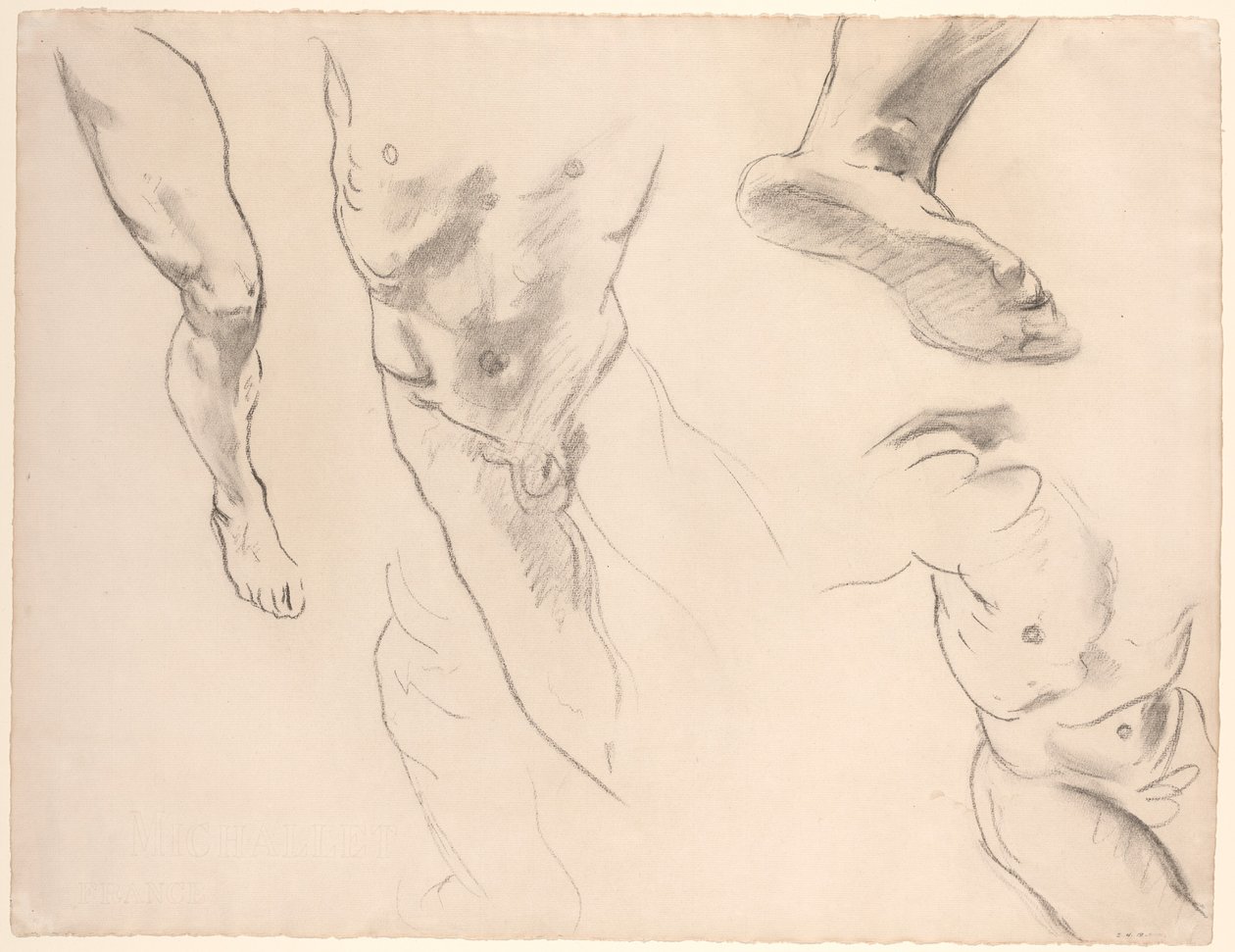 Études de figure d