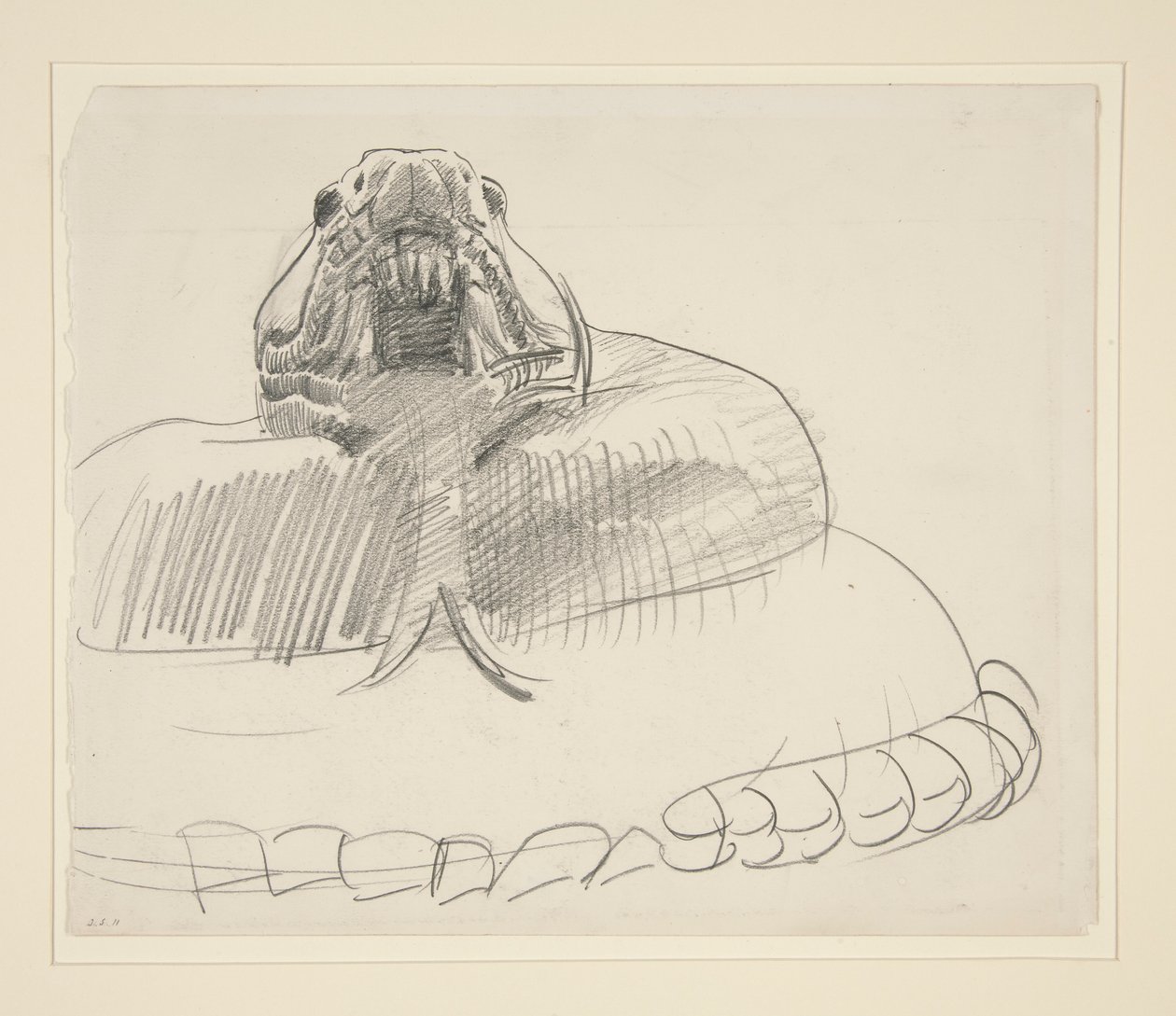 Serpent à sonnette - John Singer Sargent