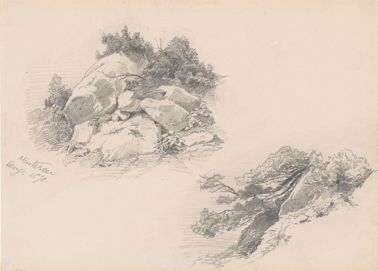 Rochers et Broussailles, Hintersee, Allemagne, 1871 - John Singer Sargent