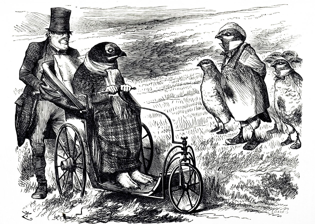 Dessin humoristique commentant la suspension de la chasse au tétras pour permettre à la population de se reconstituer. Illustré par John Tenniel (1820-1914), un illustrateur anglais, humoriste graphique et caricaturiste politique - John Tenniel