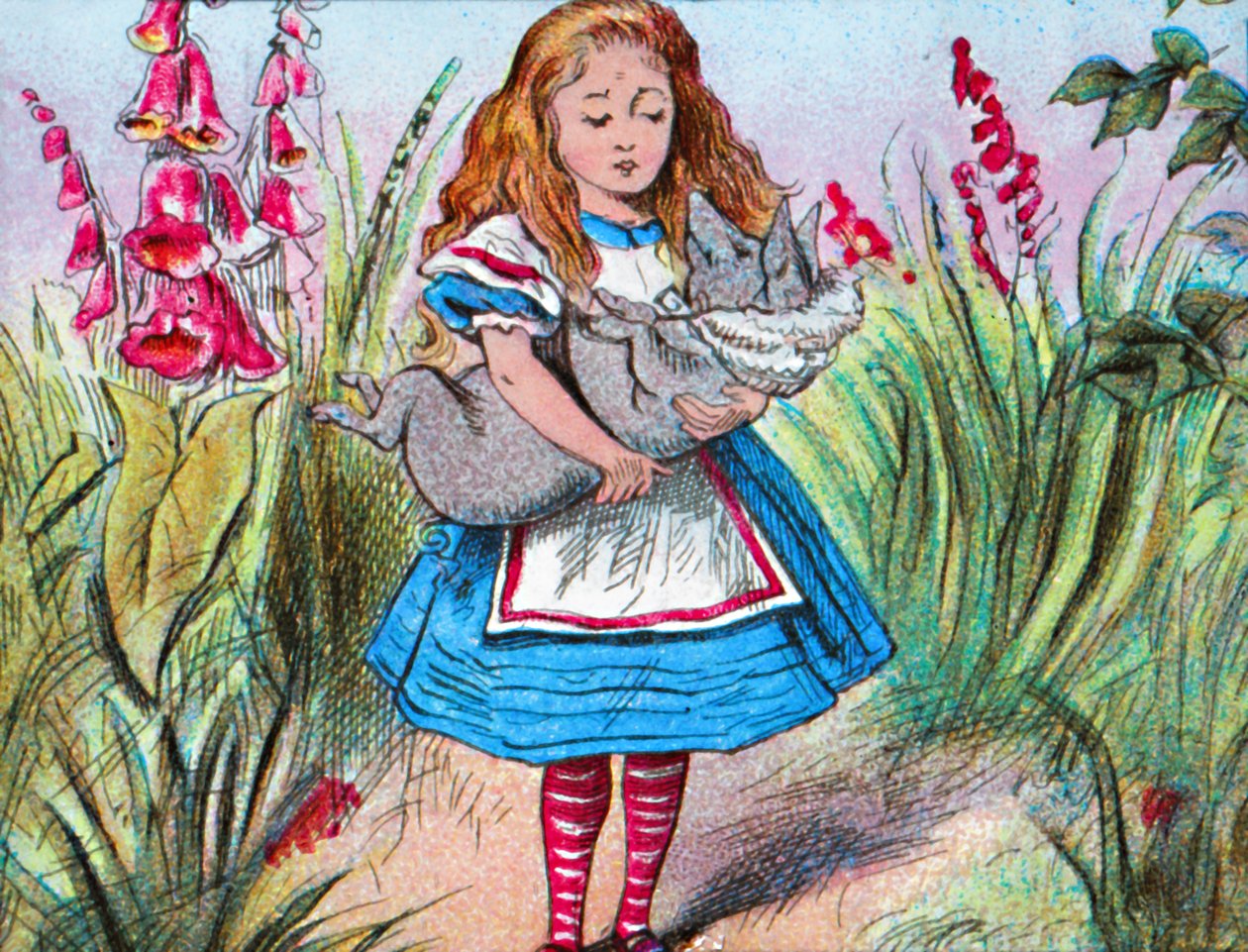 Alice tenant un cochon dans ses bras, c1910 - John Tenniel