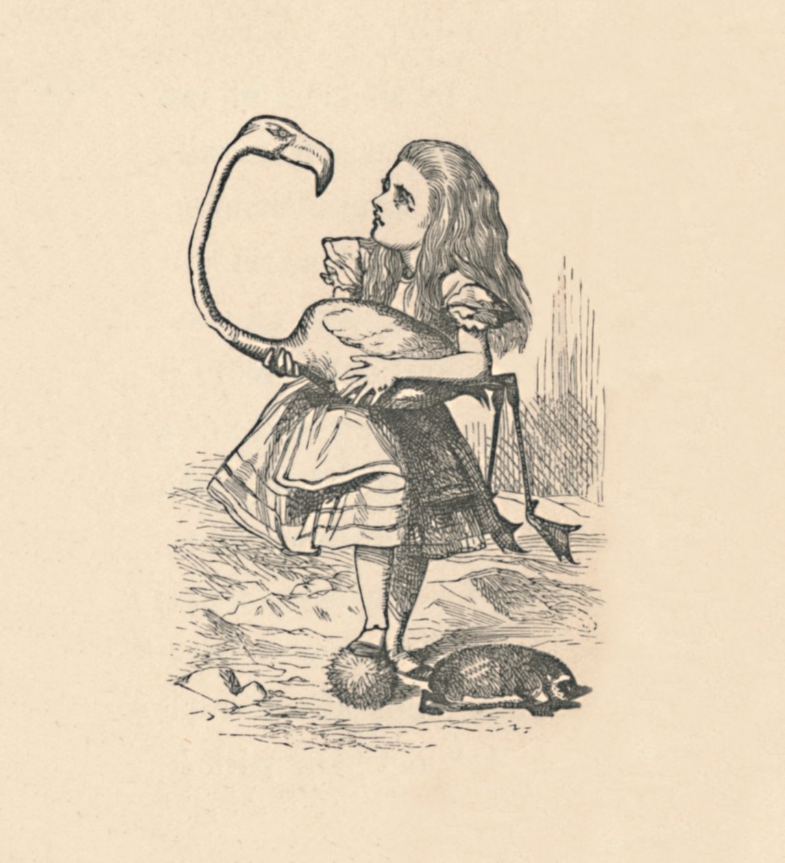 Alice essaie de jouer au croquet avec un flamant rose comme maillet, 1889 - John Tenniel
